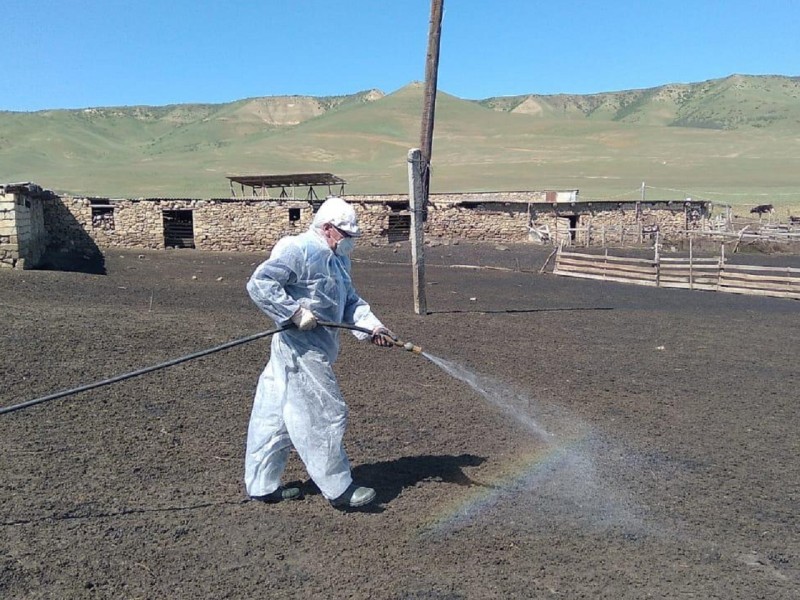 Деятельность ГБУ РД «Ветеринарная дезинфекция» за 2024 год