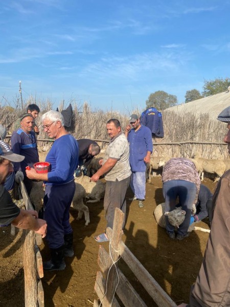 Ветеринарные мероприятия в Гунибском районе