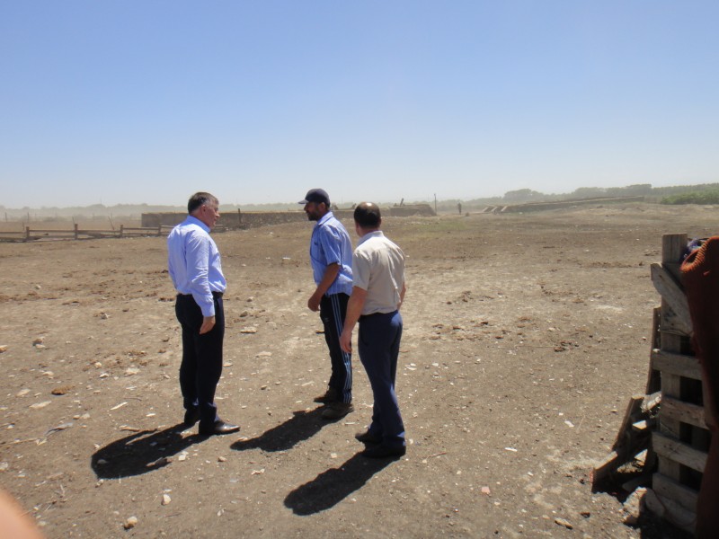 Обработка животных против паразитов