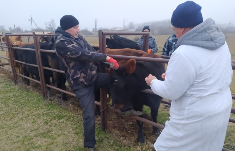 В Кумторкалинском районе проводятся плановые мероприятия на первый квартал 2023 года