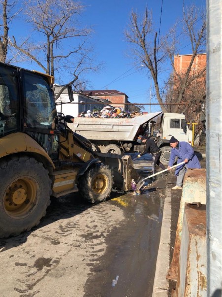 Ветеринары на субботнике!