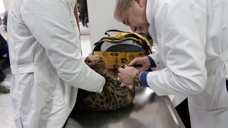 Ветстанция Ленинского района города Махачкалы