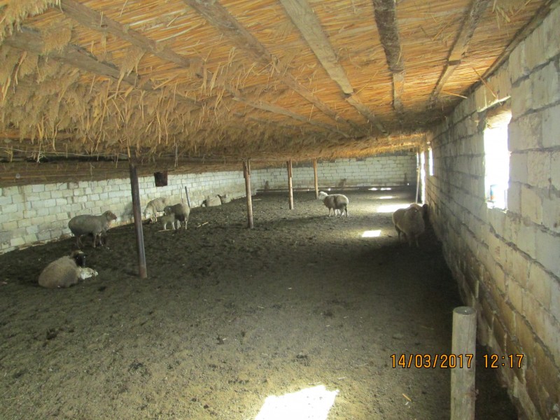 Осуществлены контрольные мероприятия в животноводческих хозяйствах Акушинского района