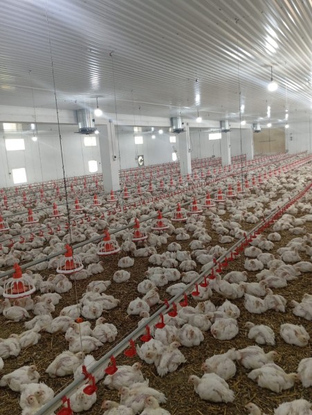 КФХ ИП Рабият Умаровой прошло сертификацию с присвоением регионального бренда «Дагестанский продукт»