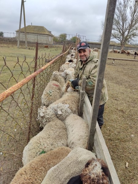 Плановые профилактические мероприятия