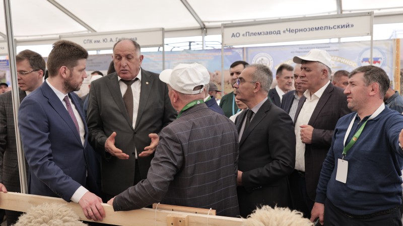 В Дагестане проходит 23 –я Российская выставка племенных овец и коз