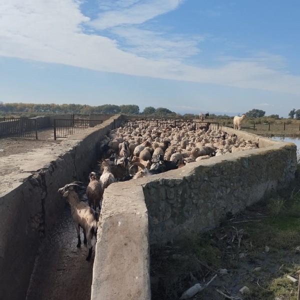 Мониторинговые мероприятия на купочных ваннах