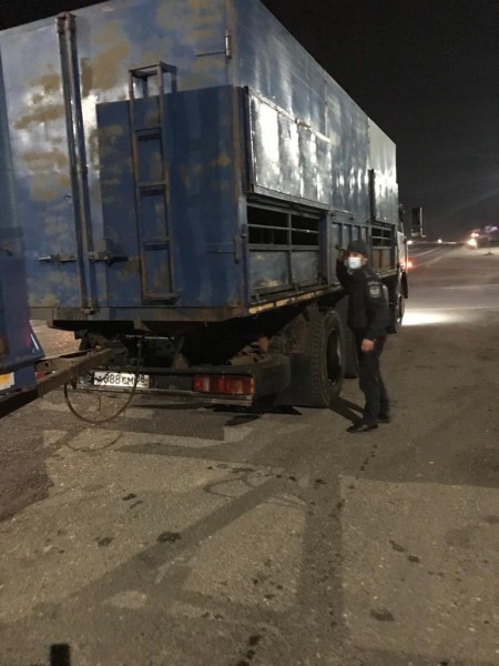 О работе Кизлярского ветеринарно-полицейского поста