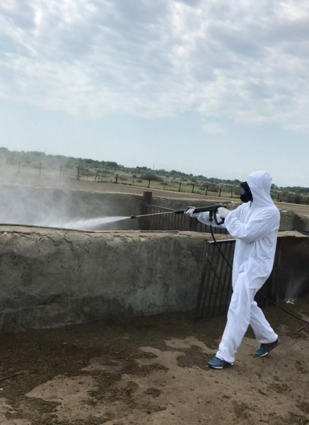 Противоклещевые обработки