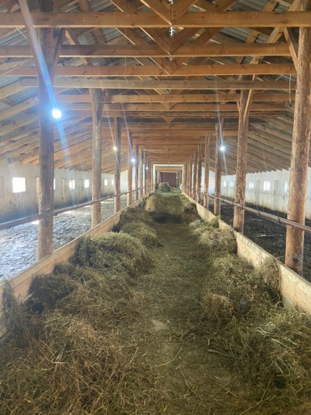 Консультативная помощь