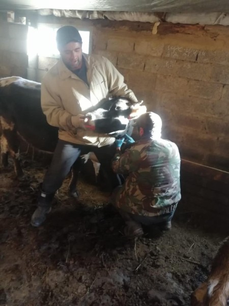 Осенние ветеринарные мероприятия в районах республики