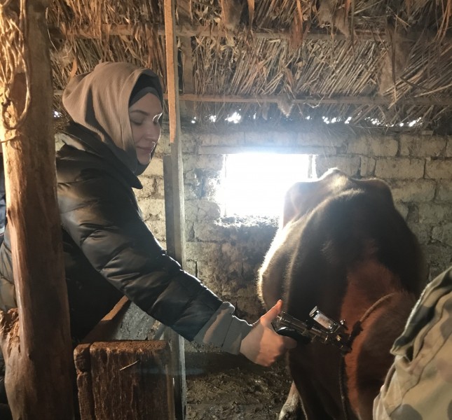 Весенние ветеринарно-профилактические мероприятия в хозяйствах Цумадинского района