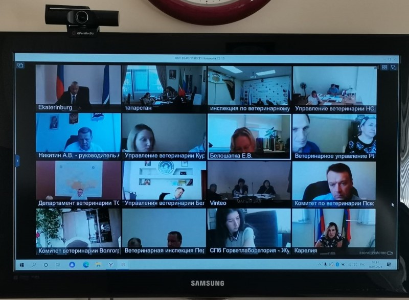 Совещание в режиме ВКС