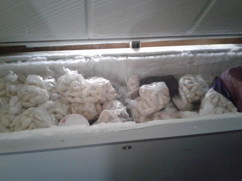 Проведена проверка исполнения ветеринарного законодательства