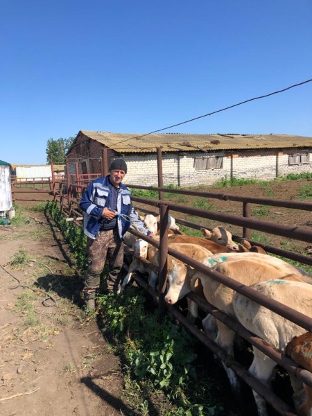 Ветеринарные мероприятия в Тарумовском районе