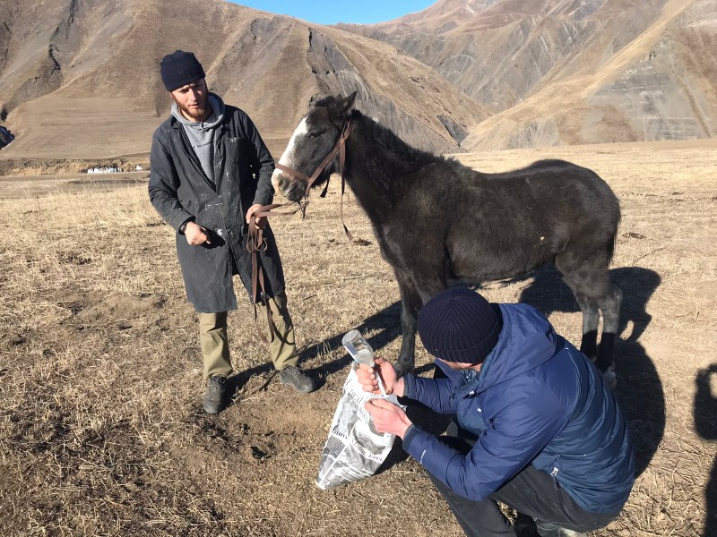 Противоэпизоотические мероприятия в республике