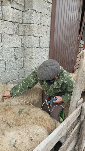 Плановые ветеринарные мероприятия