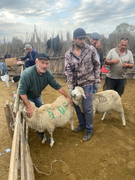 Ветеринарные мероприятия в Гунибском районе