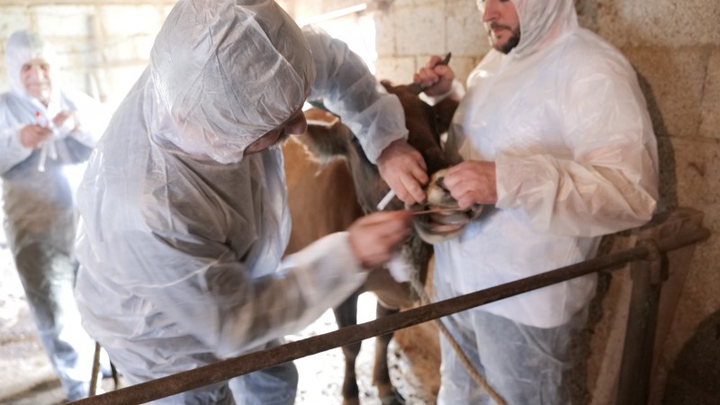 В Хасавюртовском районе провели учения по ликвидации очага ящура