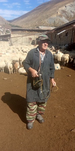 Ветеринарные мероприятия в хозяйствах Гунибского района