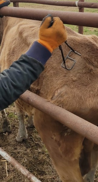 Мониторинговые мероприятия в неблагополучных пунктах