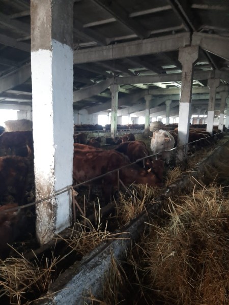 Мониторинговые мероприятия северного межрайонного отдела