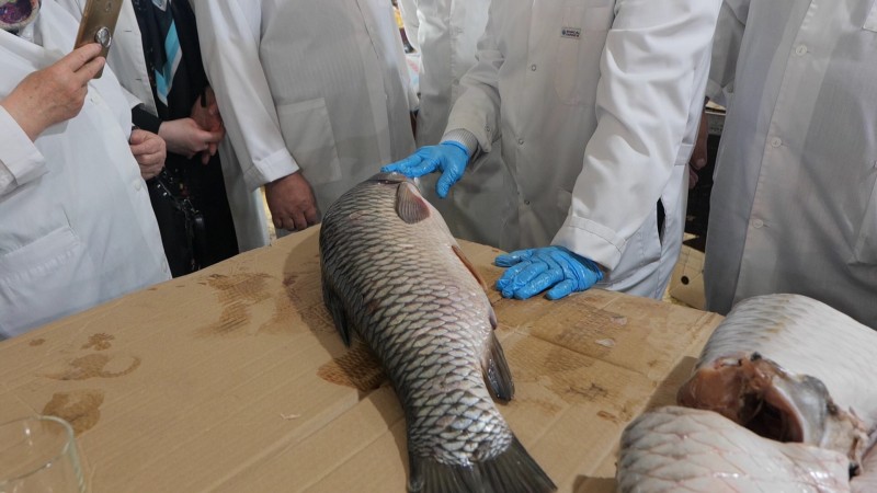 В Махачкале проведено занятие по совершенствованию практического мастерства специалистов ЛВСЭ