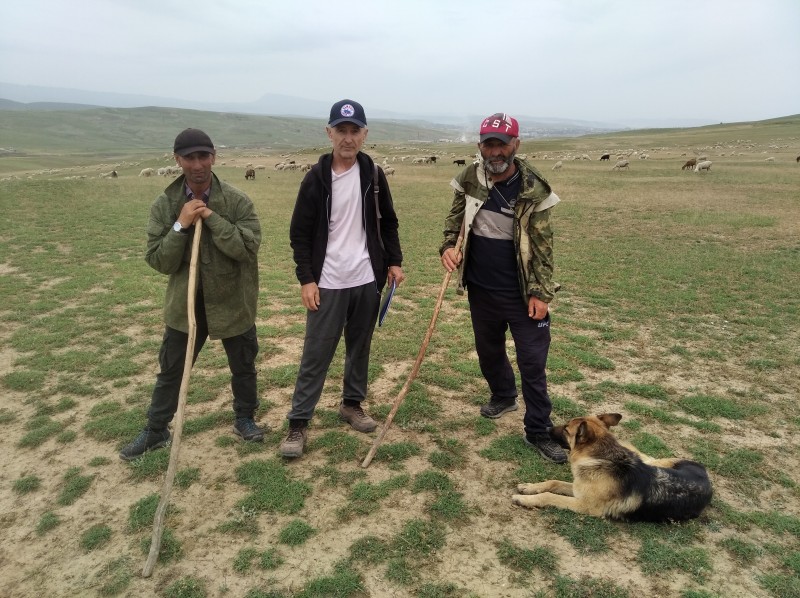 Документальный фильм «ПЕРЕГОН»