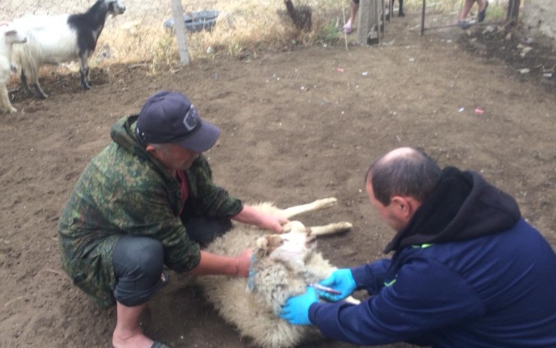 Диагностические мероприятия в Дахадаевском районе