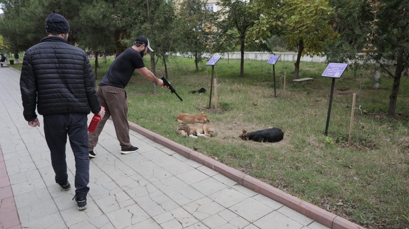 В Каспийске проведены мероприятия по отлову животных без владельцев
