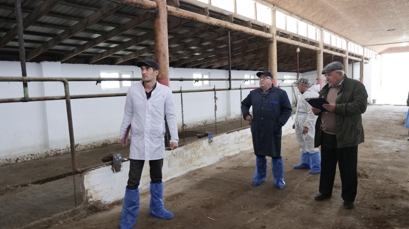 Мониторинговые мероприятия в племенных хозяйствах Гунибского района