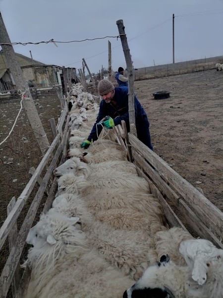 Итоги работы Ботлихского ветуправления