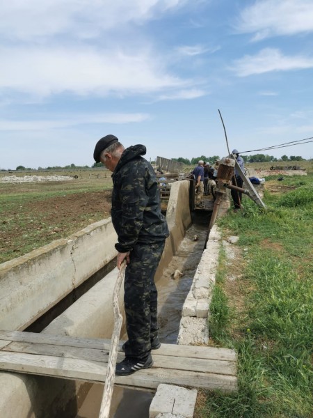 В Дагестане начался перегон овец