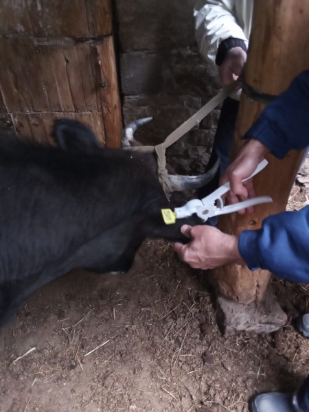 В Унцукульском районе завершаются плановые мероприятия