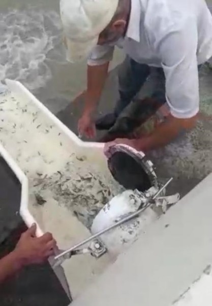 Работа Кизлярского участка отдела по борьбе с инфекционными и массовыми незаразными заболеваниями животных и рыб