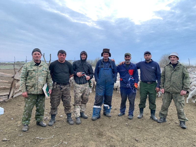 Профилактические и диагностические ветеринарные мероприятия в Тляратинском районе