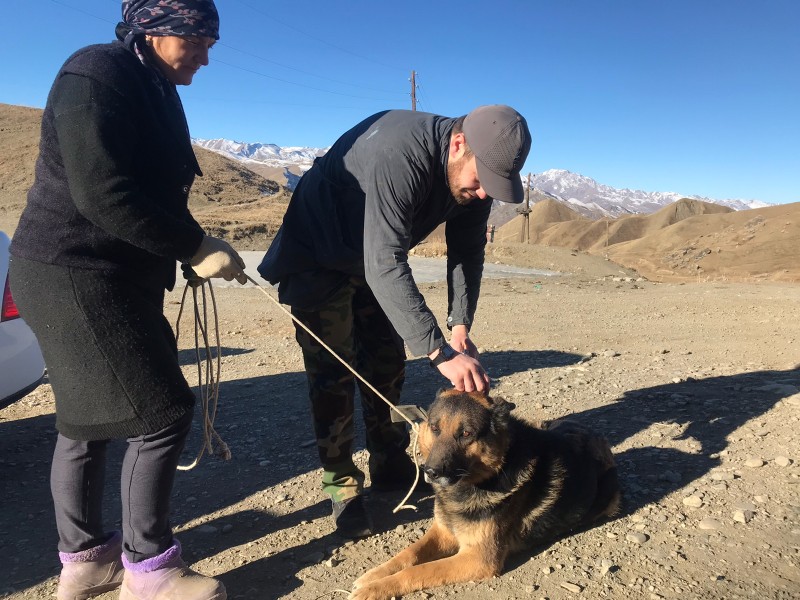 Противоэпизоотические мероприятия в республике