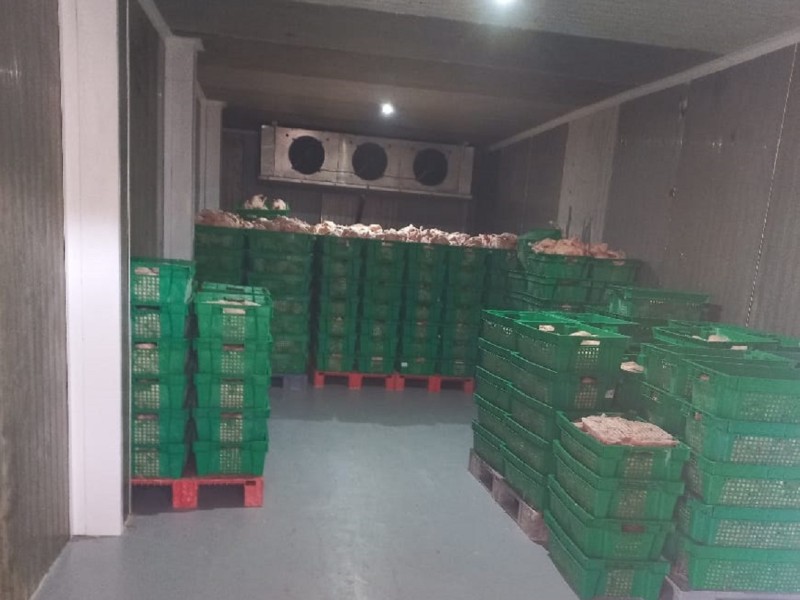 Мониторинговые мероприятия в племенном хозяйстве