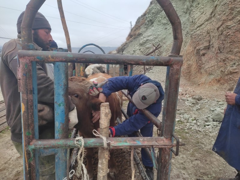 Плановые профилактические мероприятия