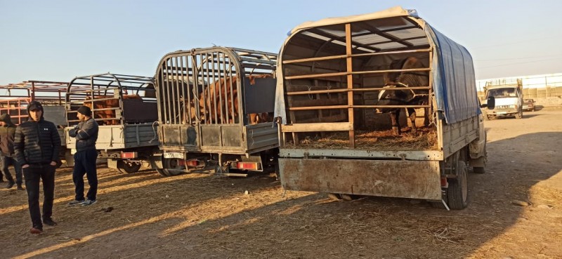 Мониторинговое мероприятие на сельскохозяйственных рынках (ярмарках) Хасавюртовского района