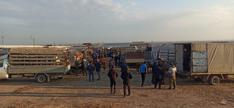 Мониторинговое мероприятие на сельскохозяйственных рынках (ярмарках) Хасавюртовского района