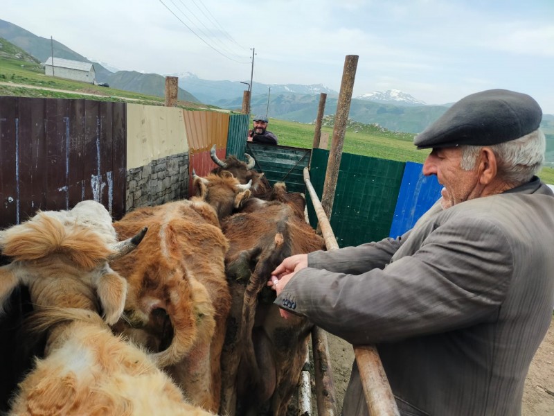 В Кулинском районе продолжаются весенние плановые мероприятия
