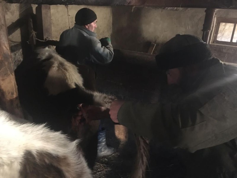 Осенние ветеринарные мероприятия в районах республики