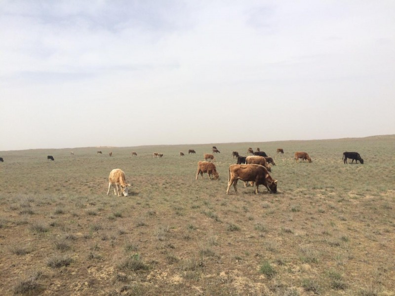 Совещание в северном Дагестане