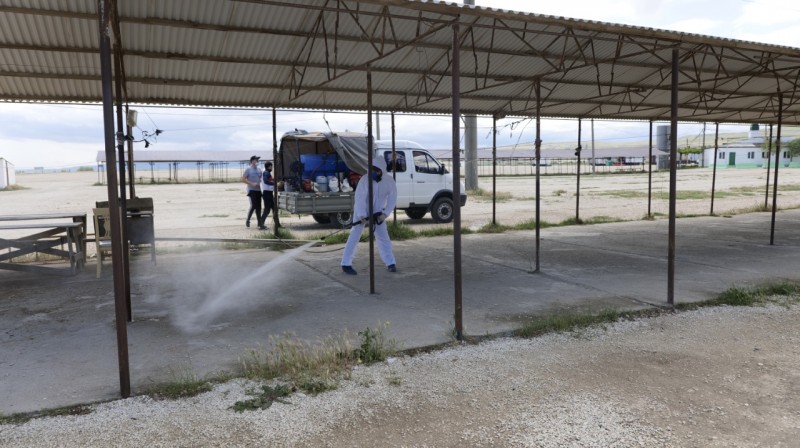 Ветеринарно-санитарные мероприятия на территории ООО «Манасская ярмарка»