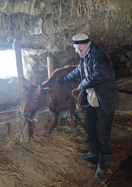 Ход выполнения плановых ветеринарных мероприятий в хозяйствах республики