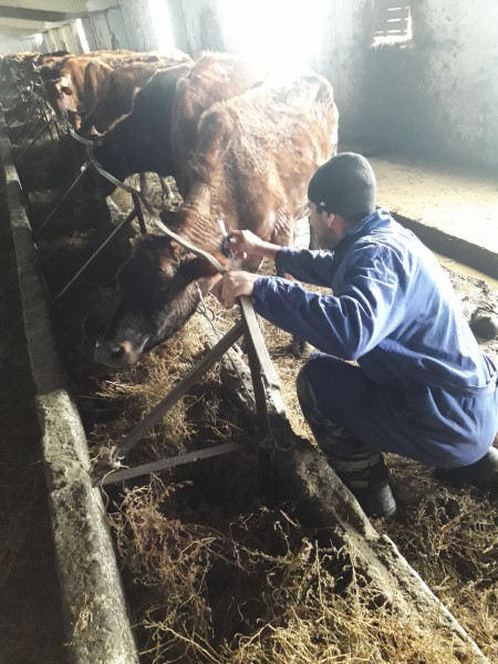 Выездные мероприятия в хозяйствах Гумбетовского района