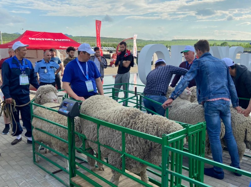 В Ставропольском крае проходит 21- я Российская выставка «Минводы ЭКСПО»