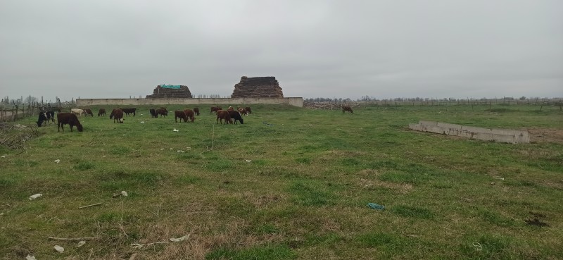 Мониторинговые мероприятия в животноводческих хозяйствах Хасавюртовского района