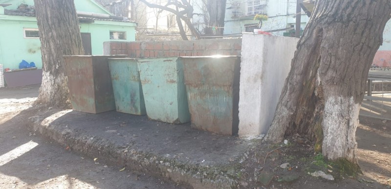 Ветеринары на субботнике!